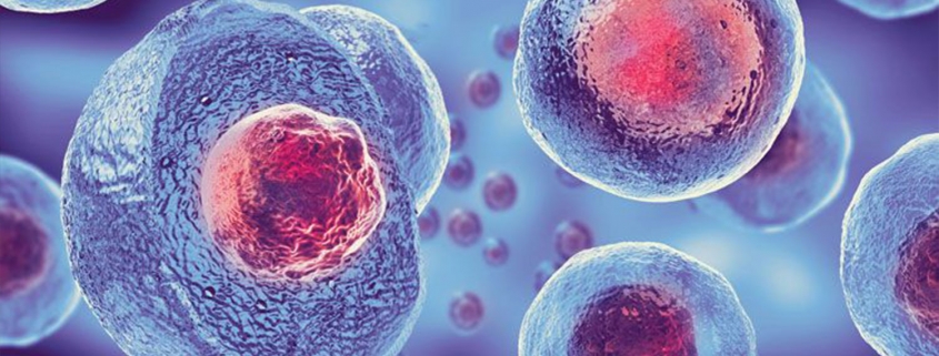 6th ONLINE CERTIFICATE WORKSHOP ON WRITING A PROFESSIONAL RESEARCH PROPOSAL OCTOBER 2021